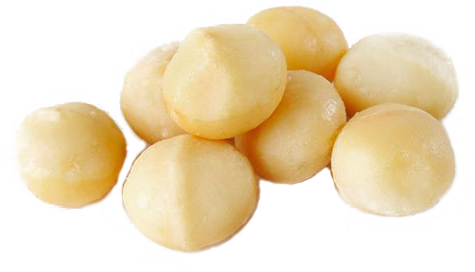 Macadamia Nuts – Houston Pecan Co
