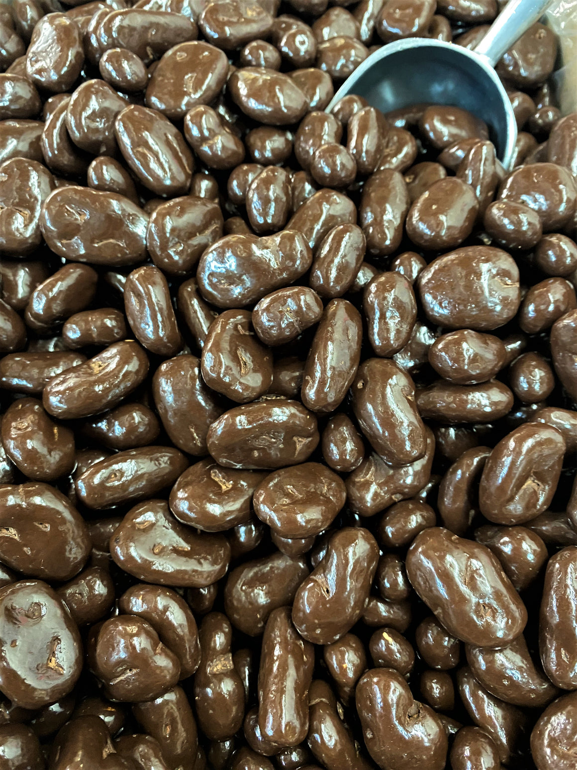 Dark Chocolate Pecans Houston Pecan Co